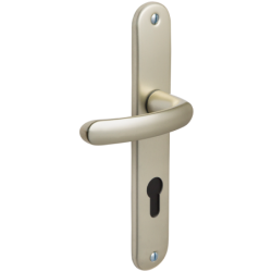 Poignée de porte Budget coloris champagne entraxe 165 mm