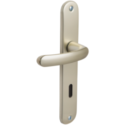 Poignée de porte Budget coloris champagne entraxe 165 mm
