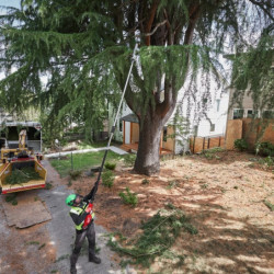 Perche d’élagage télescopique 18V 30 cm FUEL M18 FTPS30-0