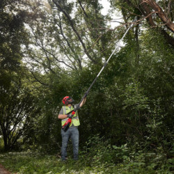 Perche d’élagage télescopique 18V 30 cm FUEL M18 FTPS30-0