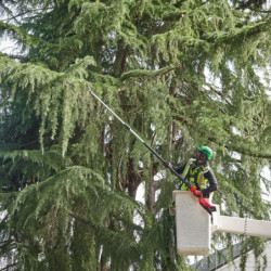 Perche d’élagage télescopique 18V 30 cm FUEL M18 FTPS30-0