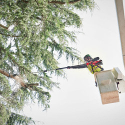 Perche d’élagage télescopique 18V 30 cm FUEL M18 FTPS30-0