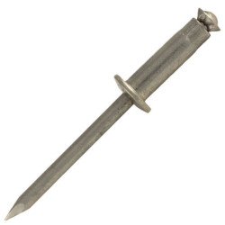 Rivet éclaté inox - inox tête plate boîte de 1000
