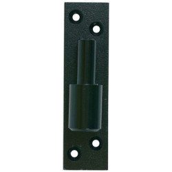 Gond de volet sur platine percée ING Fixations - acier avec cataphorèse noir - diamètre 20 mm