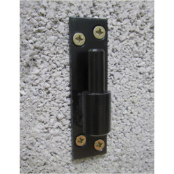 Gond de volet sur platine percée ING Fixations - acier avec cataphorèse noir - diamètre 20 mm