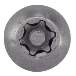 Vis métaux tête ronde bombée Torx inviolable Inox A2