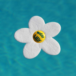 Absorbant de corps gras Water Lily pour piscine et spa boîte de 6